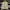 Japanese brand Casual Windbreaker Pria tan khaki photo 1