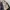 GAP Streetwear Y2K Parka Pria tan khaki photo 4