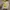 Dockers Vintage Biker Boots Pria yellow photo 2