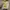 Dockers Vintage Biker Boots Pria Yellow