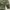 Pakaian Nasional Parka Pria green photo 5