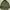 Pakaian Nasional Parka Pria green photo 2
