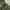 Pakaian Nasional Parka Pria green photo 7