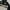 Adidas Casual Fleece Pria multicolor photo 4