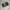 VANS Biker Skater Sneakers Pria white black photo 1