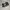 VANS Biker Skater Sneakers Pria White Black