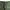 ANTGAUGE Vintage Casual Pria green photo 2