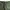 ANTGAUGE Vintage Casual Pria Green