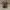 K-Swiss Vintage Biker Boots Pria brown photo 2
