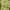 Vivastudio Casual Sweater Pria yellow photo 5