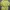 Vivastudio Casual Sweater Pria yellow photo 1