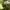 Vivastudio Casual Sweater Pria yellow photo 4