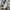 Airwalk Casual Sneakers Pria white blue photo 1