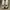 Casual Sneakers Pria white photo 2
