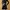 H&M Luxury Crop top Wanita gold black photo 1