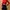 H&M Minimalist Crop top Wanita red photo 1