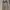 H&M Vintage Bodycon dress Wanita brown photo 2