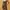 H&M Vintage Bodycon Dress Wanita Brown