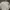 Adidas Sportswear Casual Sweater Pria cream photo 2