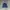 Uniqlo Cosplay Fleece Pria navy photo 1