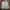 GU Casual Trench coat Pria cream photo 1