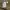 GU Casual Trench coat Pria cream photo 5
