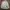 GU Casual Trench coat Pria cream photo 6