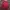 Thom Browne Casual Windbreaker Pria red photo 6