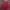 Thom Browne Casual Windbreaker Pria red photo 1