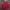 Thom Browne Casual Windbreaker Pria Red