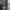 Stone Island Casual Chelsea boots Pria navy photo 4