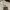 ZARA Vintage Suit Pria Brown