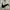 Nike Casual Windbreaker Pria white photo 1
