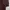 Supreme Luxury Sweatshirt Pria Brown