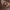 Supreme Luxury Sweatshirt Pria brown photo 5