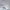 Polo Ralph Lauren Futurist Casual Fleece Pria White