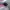 On Running Sportswear Casual Sneakers Wanita white pink photo 2