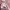 Streetwear Sportswear Jersey Wanita pink photo 5