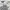 New Balance Streetwear Sportswear Jersey Pria white photo 4