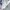 Under Armour Sportswear Casual Crop top Wanita gray photo 3