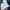 Cotton On Streetwear Bra Wanita navy photo 4