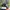 New Era Streetwear Sportswear Hat Pria black photo 2