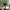 New Era Streetwear Sportswear Hat Pria black photo 3