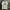 A Bathing Ape Streetwear Y2K T-shirt Pria white photo 1