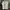 A Bathing Ape Streetwear Y2K T-shirt Pria white photo 2