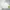 Ellesse Vintage Casual Windbreaker Pria white green photo 4