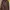 Timberland Vintage Streetwear Sweater Pria brown photo 1