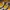 Nike Streetwear Sportswear Sneakers Pria navy yellow photo 4