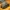 Nike Streetwear Sportswear Sneakers Pria navy yellow photo 6