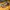 Nike Streetwear Sportswear Sneakers Pria navy yellow photo 1